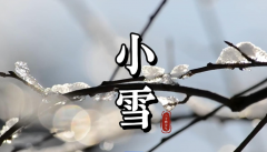 <b>今日小雪</b>