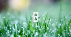 <b>雨水节气：春意渐浓，细雨润万物‌</b>
