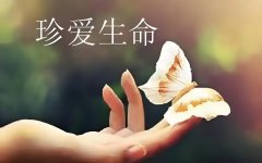 <b>他们皆曾闪耀，只是时光匆匆--贤道与您一起致敬生命</b>