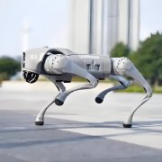 <b>秀翻了！机器狗技能值拉满，已在各地“上岗”</b>