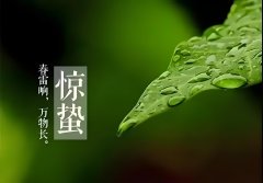 <b>惊蛰至，万物生。贤道愿所有美好，与春天一同醒来。</b>