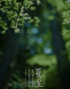 <b>夏至未至，盛夏已至</b>