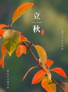 <b>立秋：藏在时光褶皱里的守护</b>